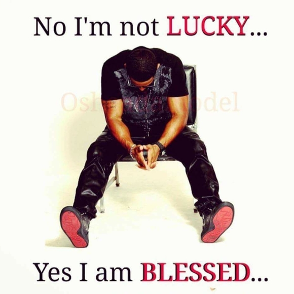 Meet your Posher, Marcellus - Picture 1 of 1